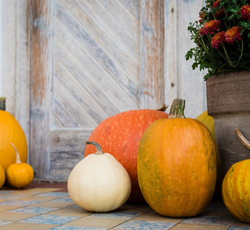 Four Tips for Getting Started on Fall Decor